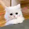 baootrann101666