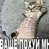 iamromch1konlyi