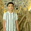 araz8028