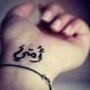 user46121033049900