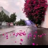 mayle_abdulla022