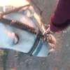 alessia_guy7