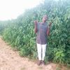 user4130935463875