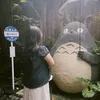 totoro040909