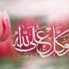 warda.amazighiya