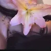fli_ni6
