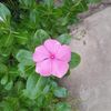 username_23713
