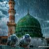 maher.khan.bro5