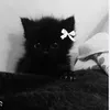 anichka_14