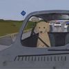 jacob_chases_nados