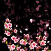 bilalmostefai24