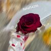 rahaf54296