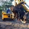 iliicho_iliev