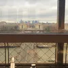 tomayto03