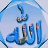 user48239111298687