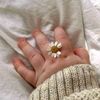rania.maalaoui8