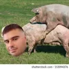 tonihrvatinjebemaludjecu