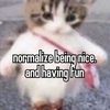 ilikecats_yummy
