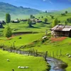 user7615281366654