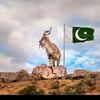 babar.jutt.3027