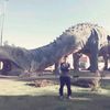 odracir_cot_t