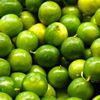 optimus_lime88