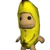 boiscool