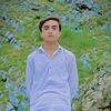 aliafridi337