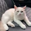 lily736002