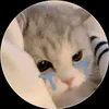 tiktok.dat06