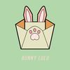 bunnylulucharm_