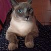 cristinagarcia23112