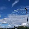 holi33383