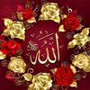 hakeem.abdul.satta