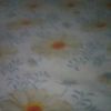 user3203757146874