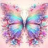 vaneb29