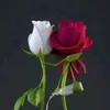 m7m7m313