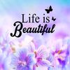 user78178606160968