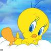 dr.tweety.m.love