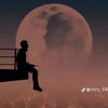 .elshrbiny8