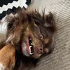 lukas_boholm8