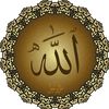 ayolayol08