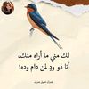mohammed.alhawari66