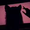 tddwykko