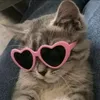 kittushh2