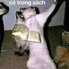 buyn85