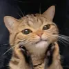 nghiemhatramyyy
