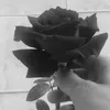 ani_ktu18