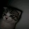 asher.8181
