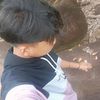gladismaulita